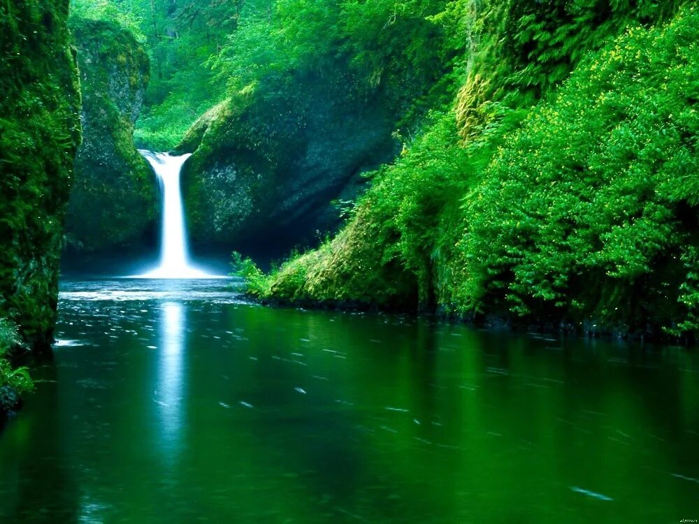 Природа фото скачать на андроид бесплатно Green Rainforest Waterfall Nature Art Huge Canvas Print Poster Txhome D2935 - Wa