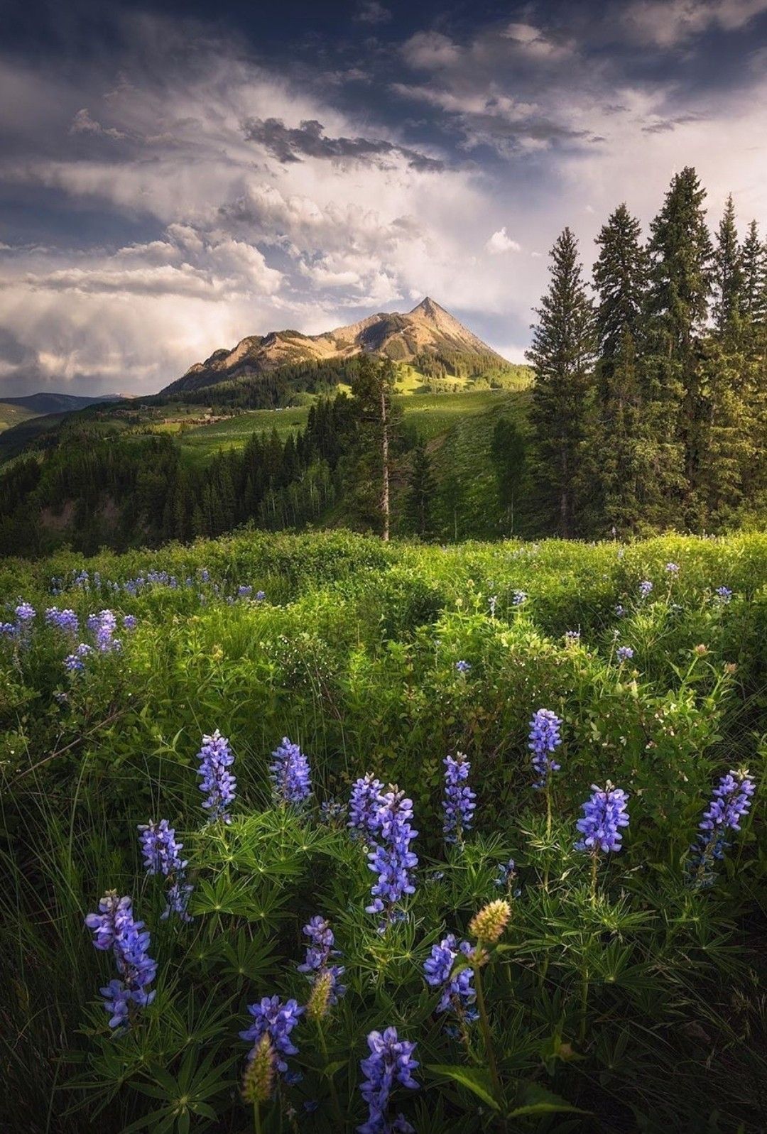 Природа фото в контакте Crested Butte, Colorado Nature photography, Nature photos, Nature