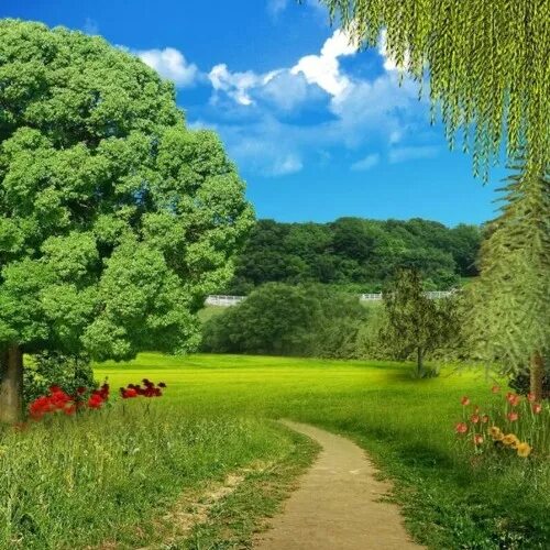 Природа фото вставить Stream musicproduction title background (FREE DOWNLOAD) by 2022,Ramazan Listen o