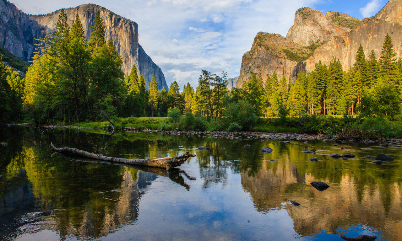 Природа фото высокого разрешения скачать Download wallpaper forest, mountains, river, stones, CA, USA, snag, Yosemite Nat