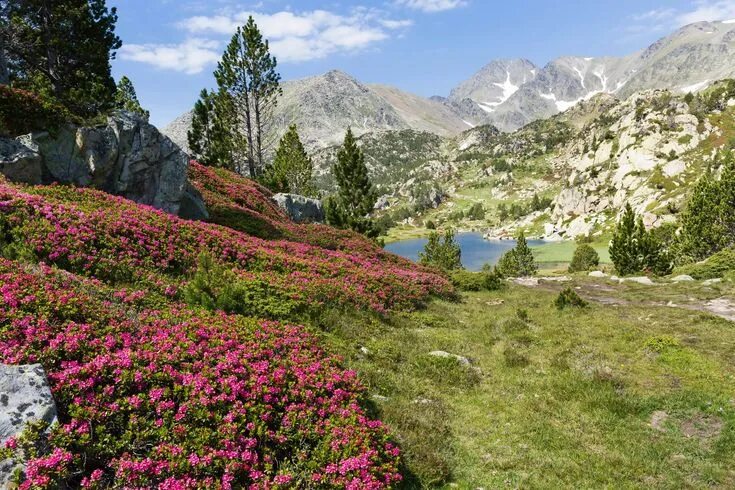 Природа франции фото pyrenees mountains - Yahoo Image Search Results Landscape wallpaper, Nature wall