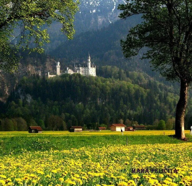 Природа германии фото Pin von Schneigab auf My Allgäu Allgäu