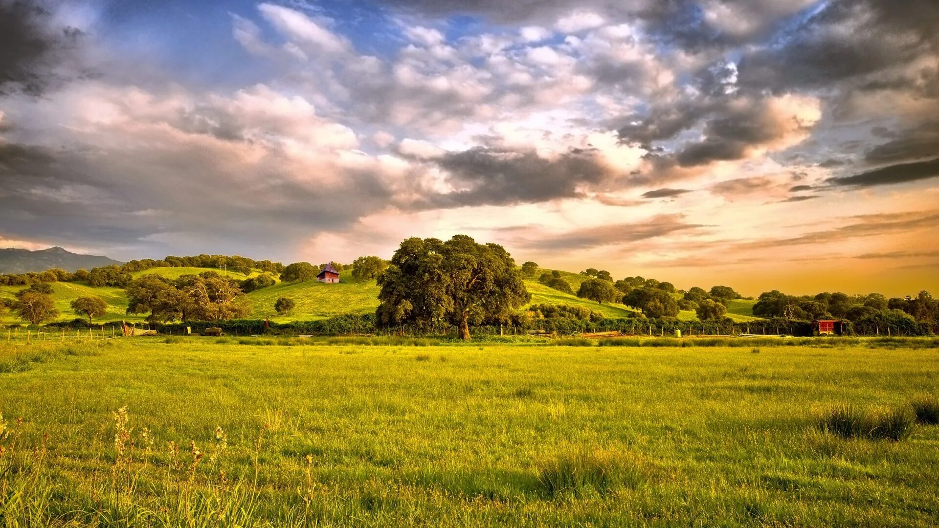 Природа горизонтальное фото Green Grass Field Under Cloudy Sky During Daytime Full HD - KDE Store