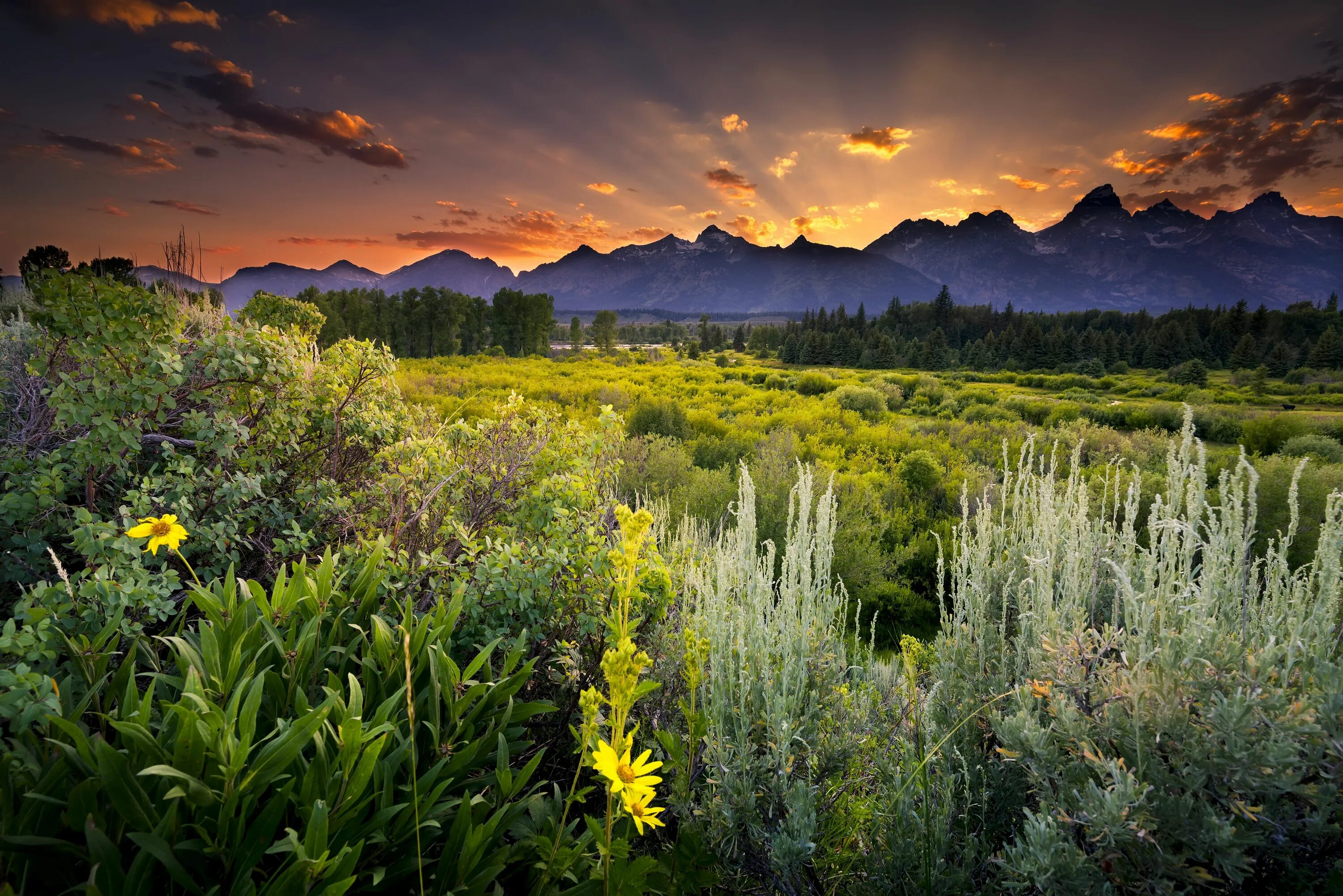 Природа горизонтальное фото Pin on Wyoming