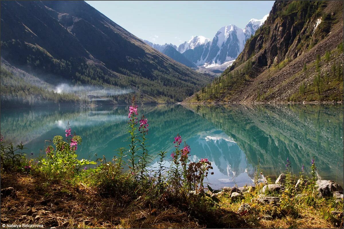 Природа горного алтая фото самые красивые Горный Алтай из Тюмени: АВТОБУС Natural landmarks, Landscape, Nature