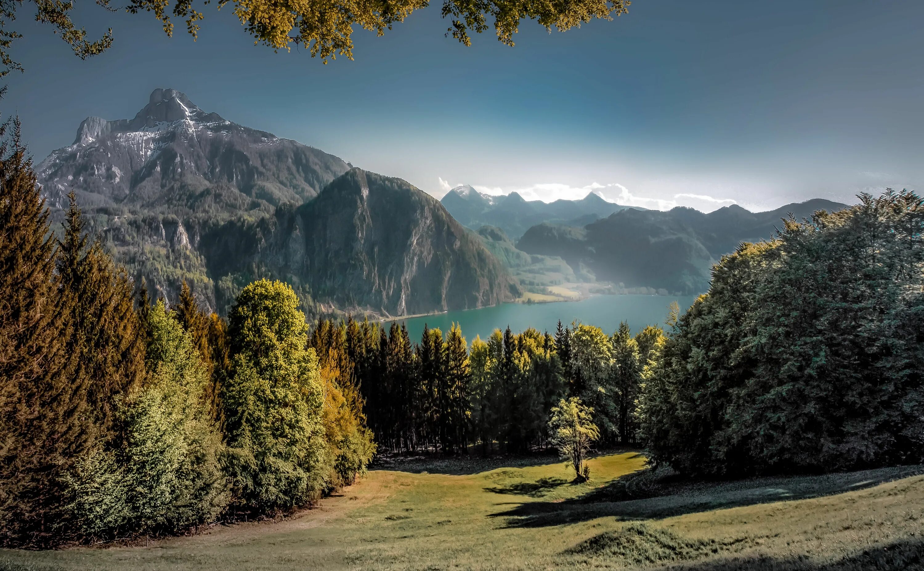 Природа горы лес фото green leaves trees beside body of water near mountain #Mondsee #Idylle green lea