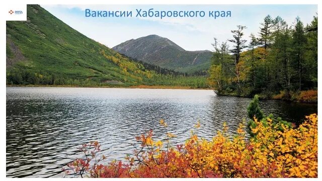 Природа хабаровского края фото Актуальные вакансии Хабаровского края Интерактивный портал службы занятости насе