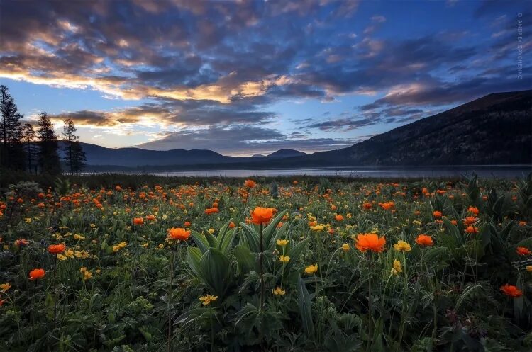 Природа хакасии фото самые красивые Архив конкурсов фотографии Воронежа страница 21 Photo-study.ru