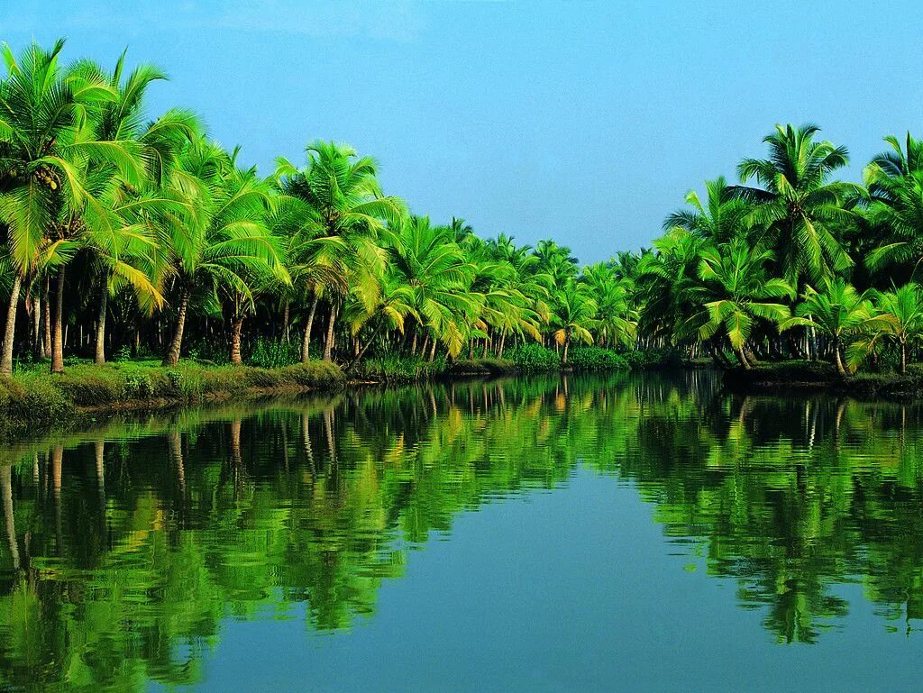 Природа индии фото I've been here. Kerala, India Kerala backwaters, Tourist places, Kerala tourism