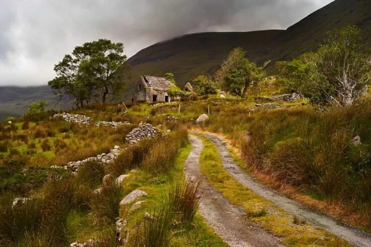 Природа ирландии фото #OTD in Irish History - 29 May: - Stair na hÉireann/History of Ireland Irish lan