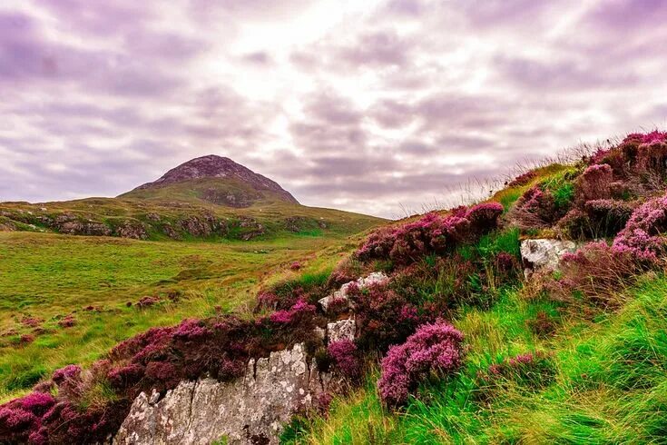 Природа ирландии фото Ireland Meadow Green - Free photo on Pixabay Ireland landscape, Connemara irelan