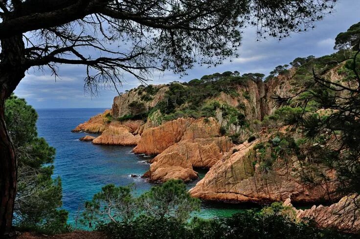 Природа испании фото Espagne Côte Catalonia Nature