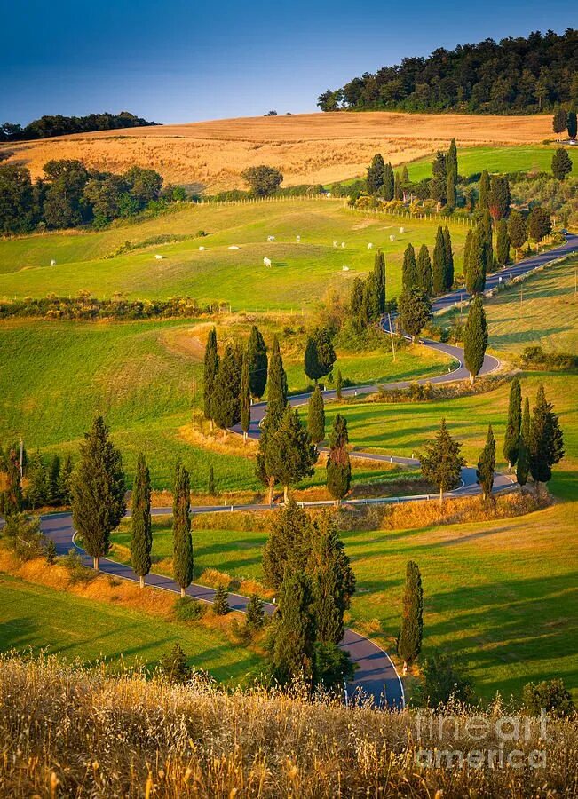 Природа италии фото Toscana Strada by Inge Johnsson Tuscany italy, Beautiful places, Under the tusca