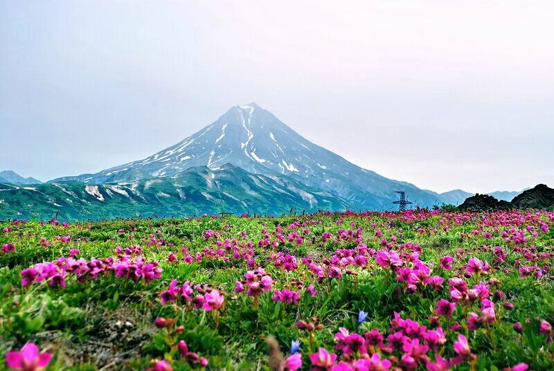 Природа камчатки фото самые красивые Камчатка: туристический рай с впечатлениями на всю жизнь! Весь Туризм Дзен