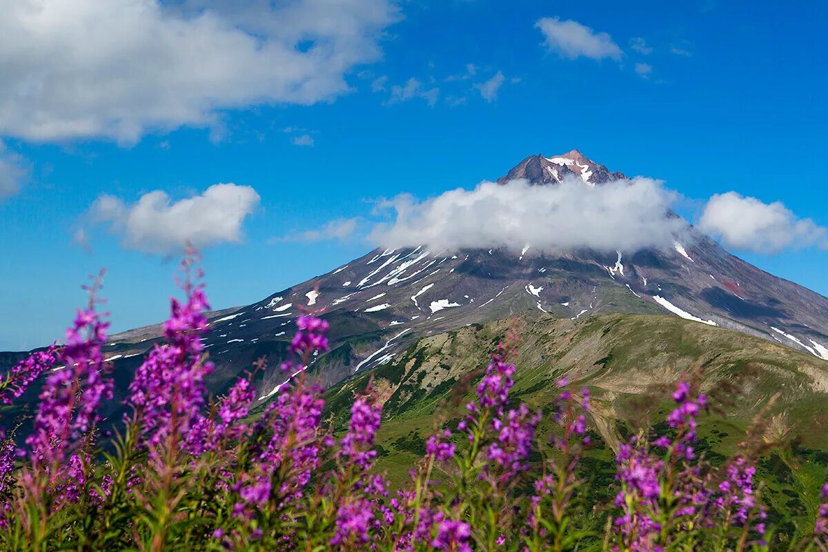 Природа камчатки фото самые красивые Камчатские краски Журнал "Неизвестная Сибирь" Дзен