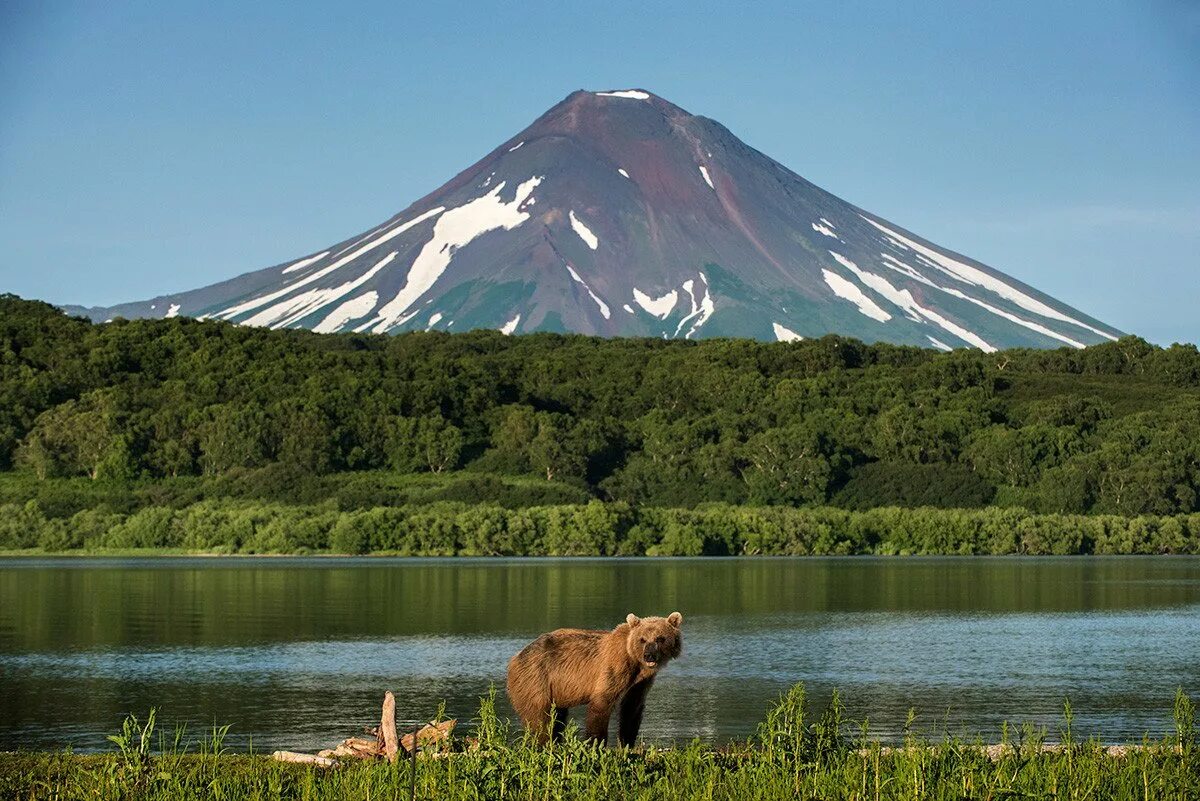 Природа камчатки фото самые красивые Исследуя Камчатку: комфорт-тур - отдых по цене от 189 000 ₽ - YouTravel.Me