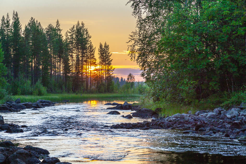 Природа карелии фото самые Отдых в июне 2024 в России: куда поехать