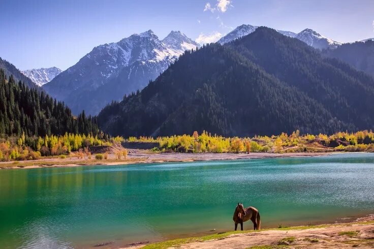 Природа казахстана фото Lonely horse in heaven Travel and tourism, Places to see, Lake