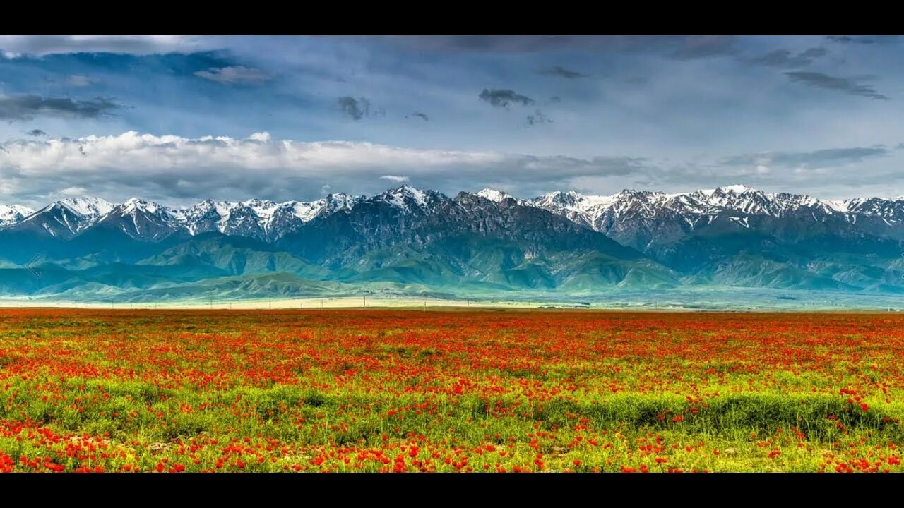 Природа казахстана фото "The legends of the great steppe of Kazakhstan" - Piano improvisation by Raushan