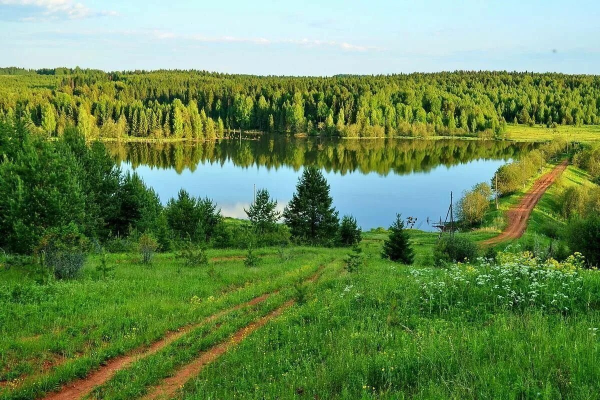 Природа кировской области фото Экологическое путешествие "По заповедным местам Кировской области". 2022, Кильме