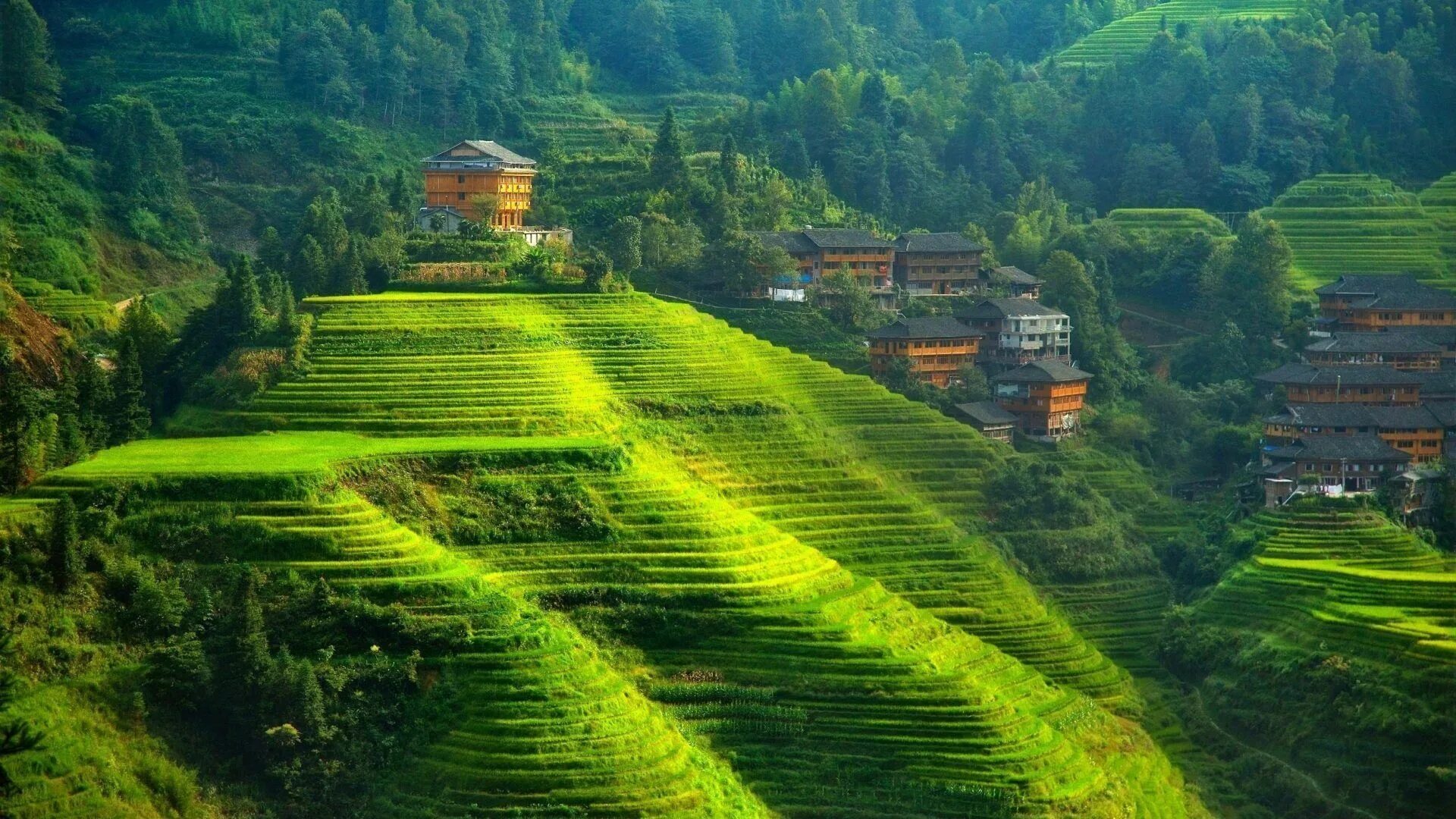 Природа китая фото House of the thousand steps Valley view, Scenery, Green valley