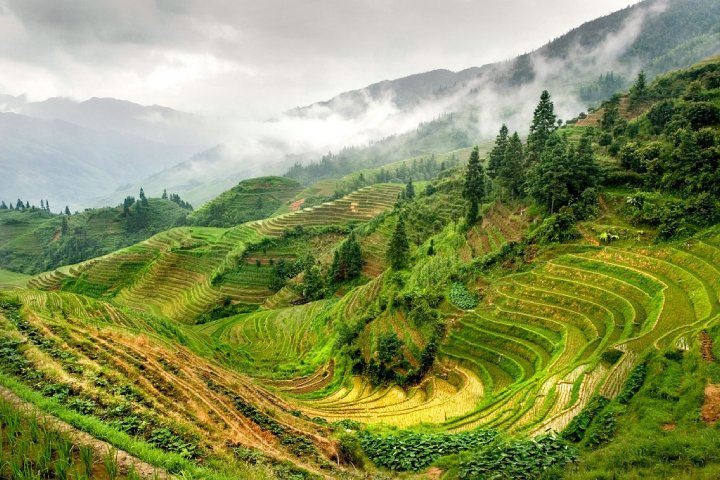 Природа китая фото самые красивые This is awesome. (Apparently it used to be a rice farm in China.) Landscape phot