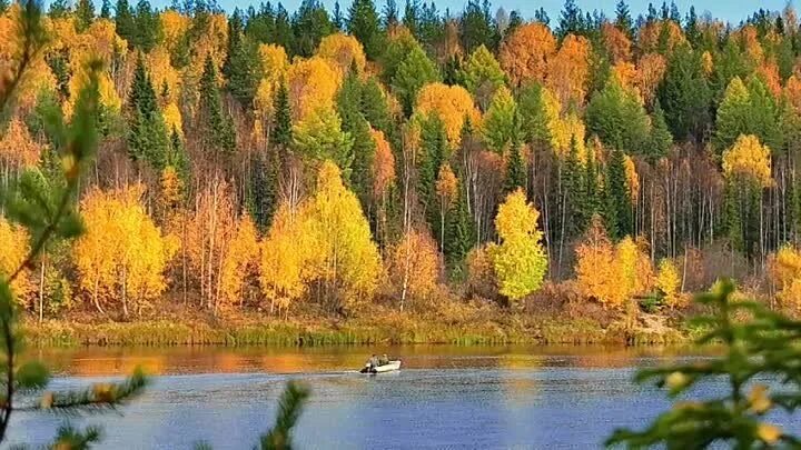 Природа коми края фото Прохождение лесопожарного сезона, экологическое просвещение и... Интересный конт