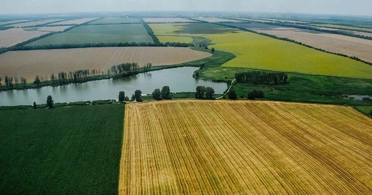 Природа кубани фото В Верховной раде захотели превратить Кубань в "украинскую Кубу" - 18.12.2019 - В