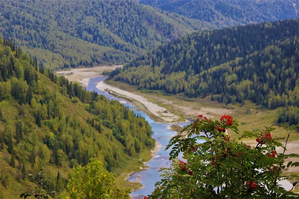 Природа кузбасса фото Горная речка Уса :: Сергей Чиняев - Социальная сеть ФотоКто