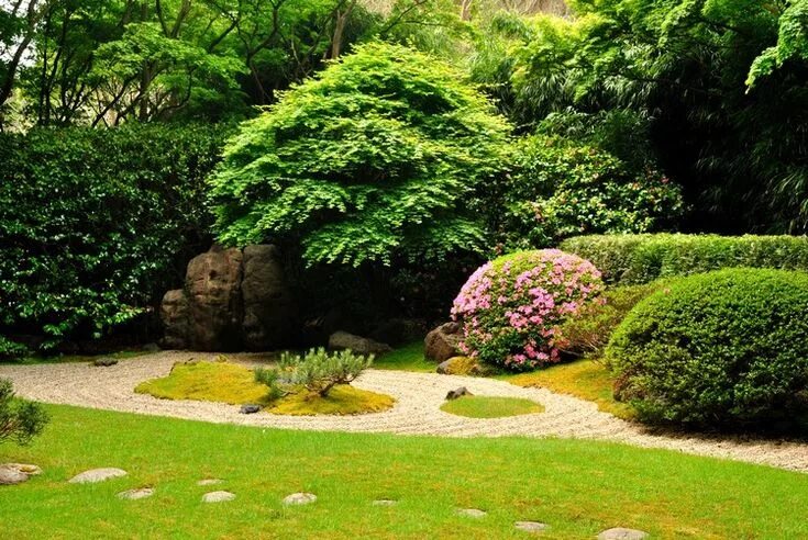 Природа ландшафтный дизайн beau jardin japonais harmonieux composé de gravier décoratif, des arbustes fleur