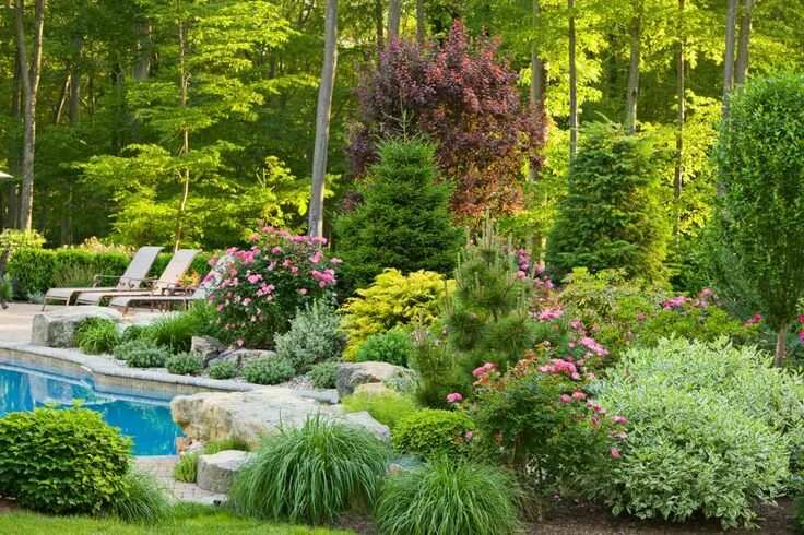 Природа ландшафтный дизайн Seasonal Gardens Landscape design, Garden landscaping, Seasonal garden