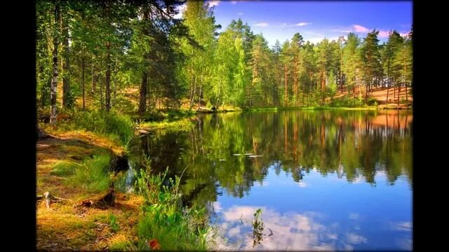 Природа ленинградской области фото Красивые озера Ленинградской области/Beautiful lakes of the Leningrad region - с