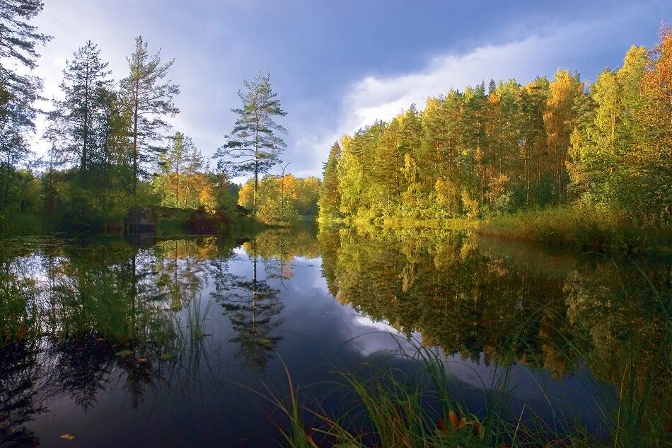 Природа ленинградской области фото Осенью на озере Вуокса. Ленинградская область. Автор фото Касаткин Виктор 2023 С