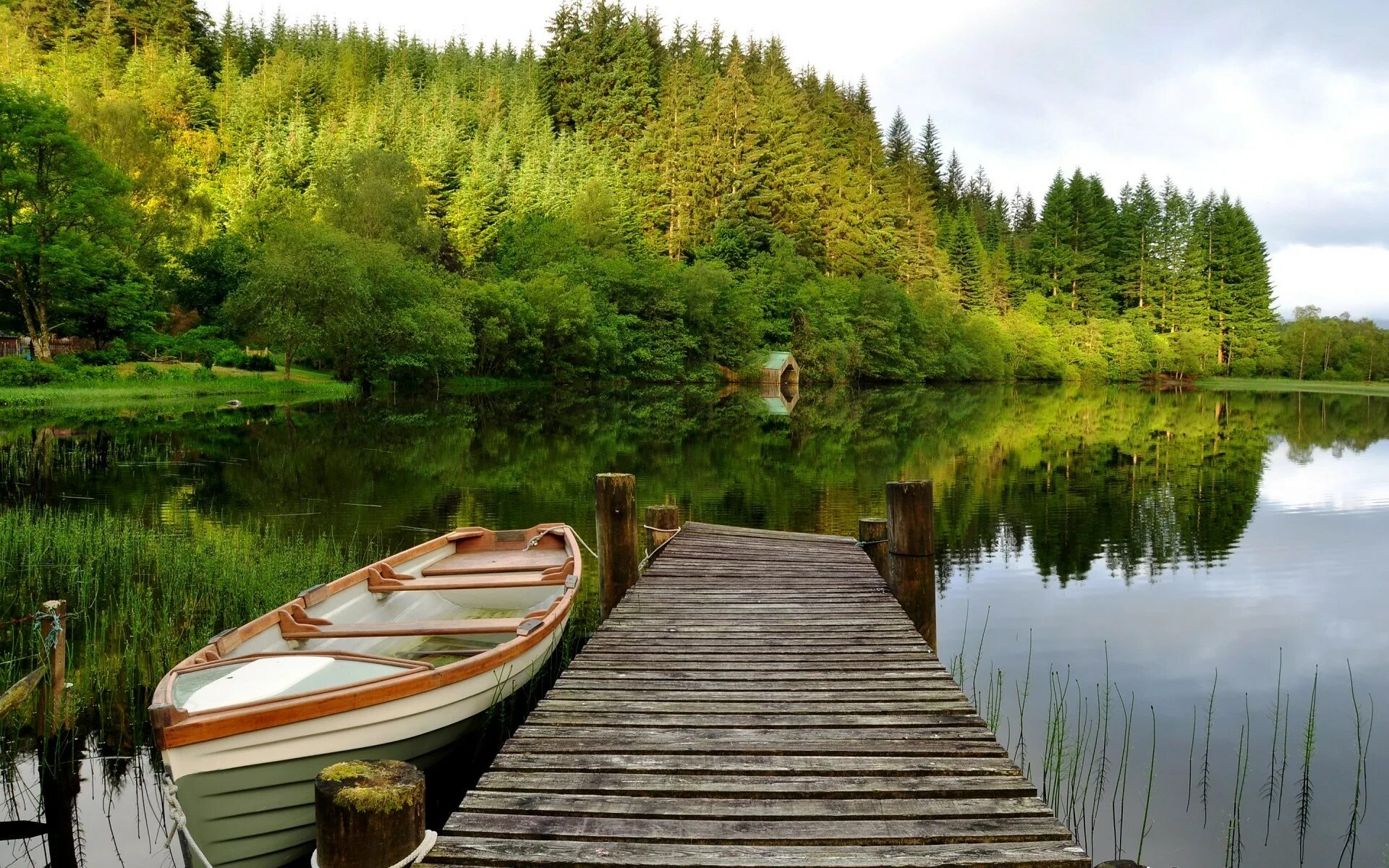 Природа лес река фото Wallpaper : forest, boat, lake, nature, reflection, river, wilderness, wetland, 