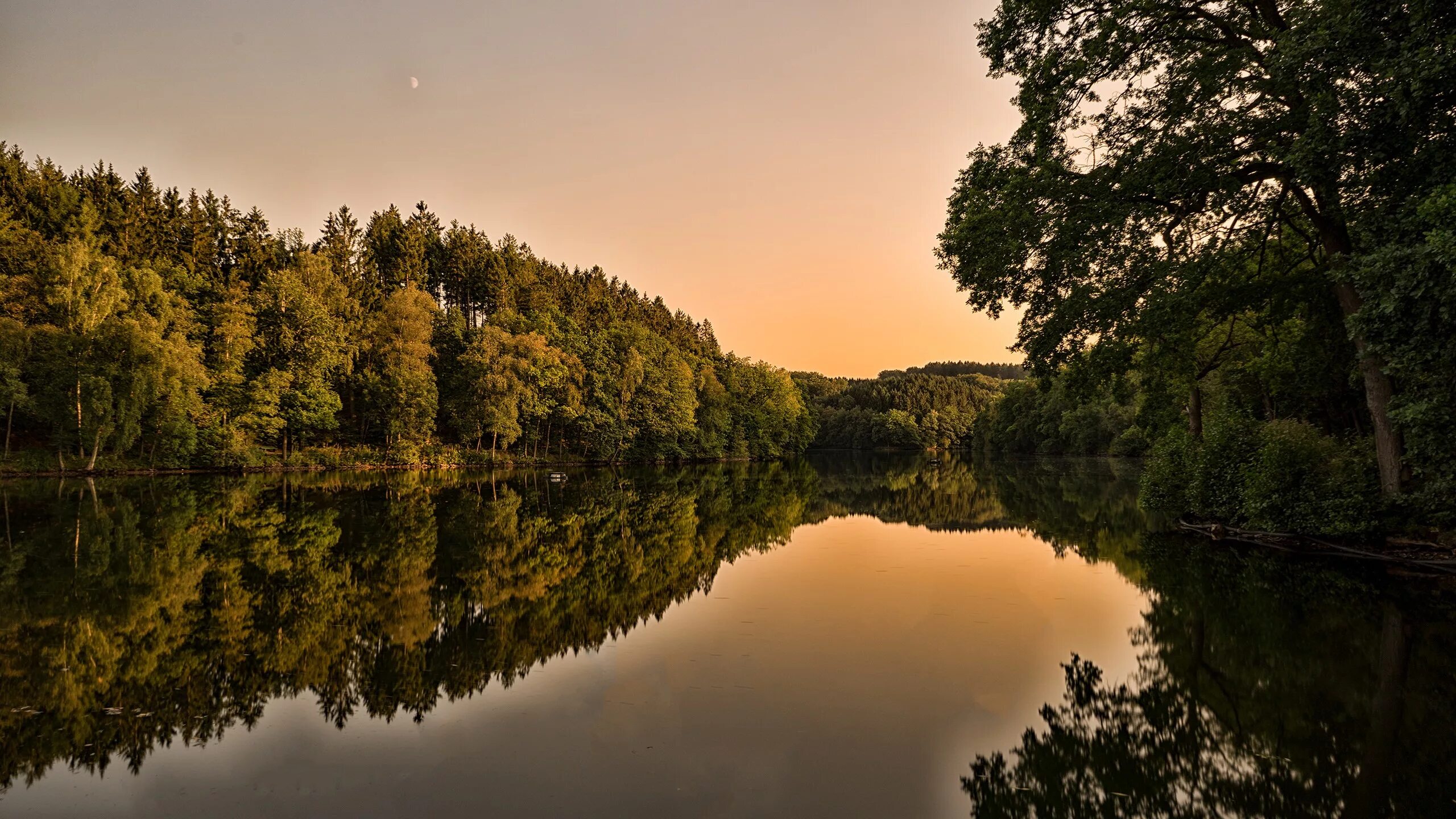 Природа лес река фото Wallpaper : sunlight, landscape, forest, lake, nature, reflection, grass, sky, p