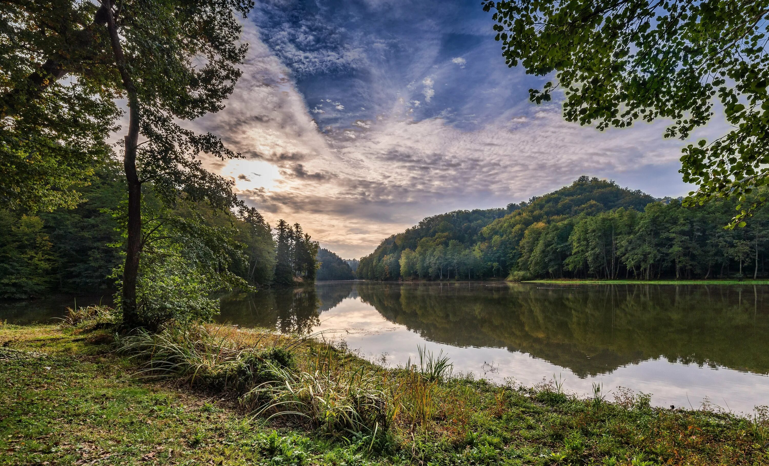 Природа лес река фото Green trees on the river bank under the beautiful sky Desktop wallpapers 640x960