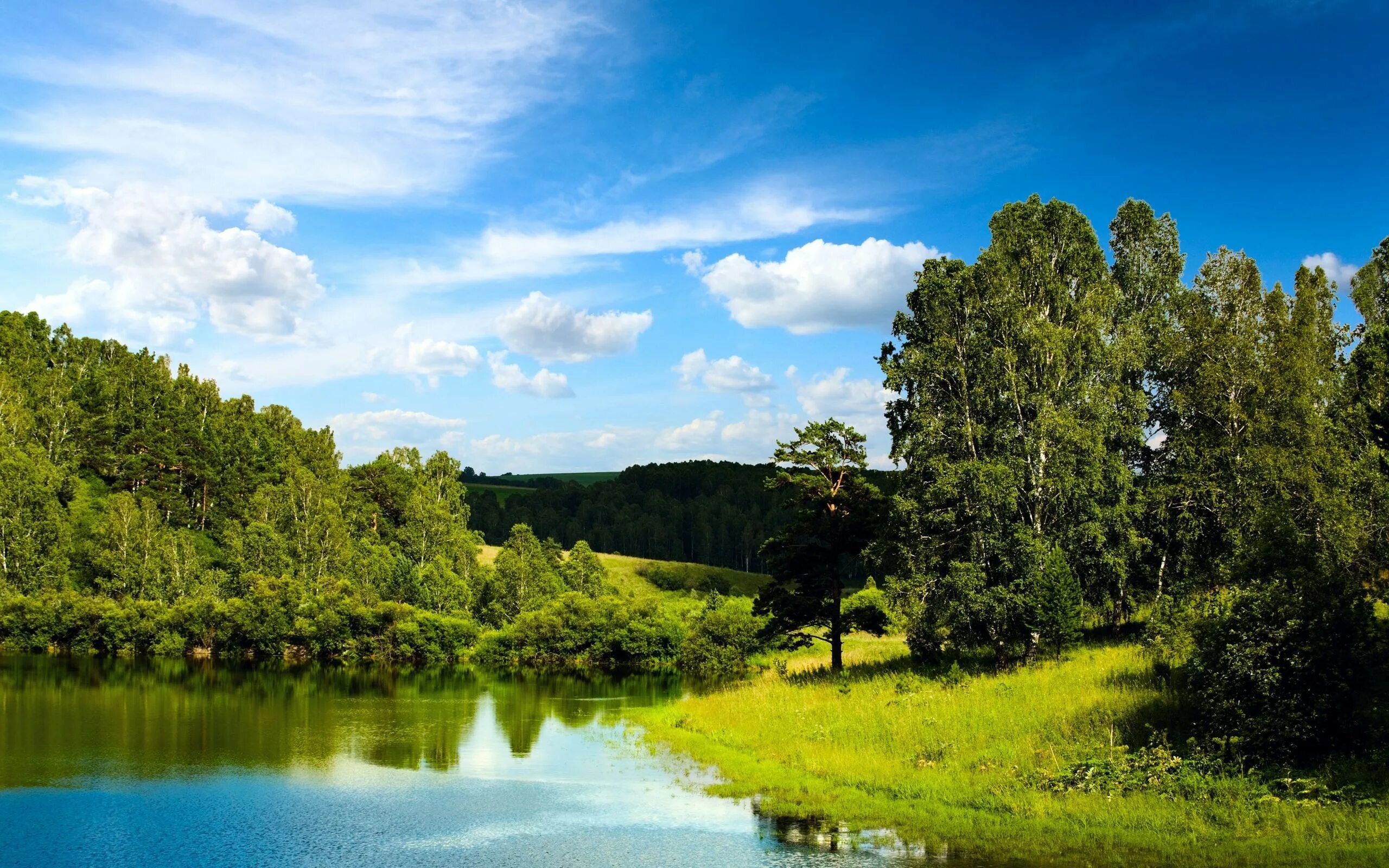 Природа летом фото высокого качества Wallpaper : landscape, forest, hill, lake, nature, reflection, grass, sky, river