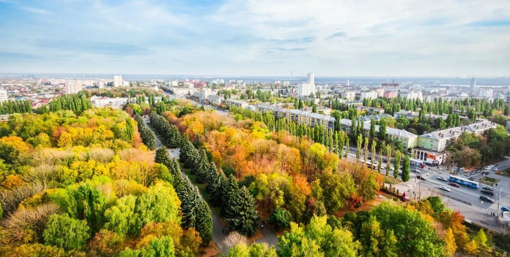 Природа липецка фото В Общественной палате города Липецка прошел круглый стол по вопросам озеленения 