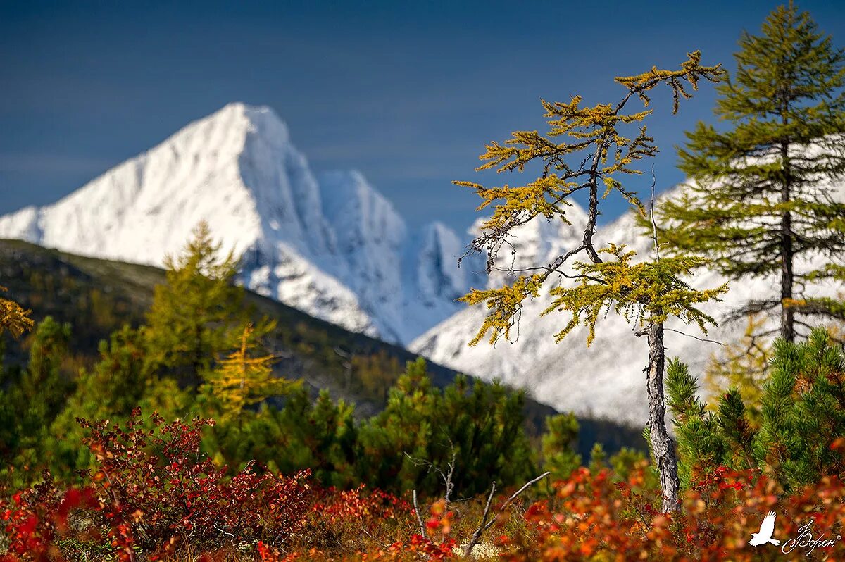 Природа магаданской области фото Lake Jack London - the meeting place of three weather and three seasons. - Steem