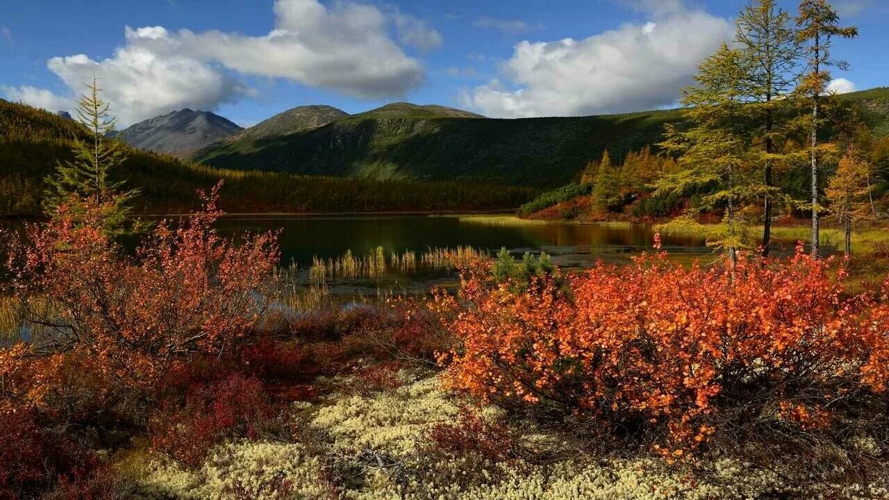 Природа магаданской области фото Картина на холсте 60x110 Альянс Лес "Магаданские красоты" на подрамнике / интерь