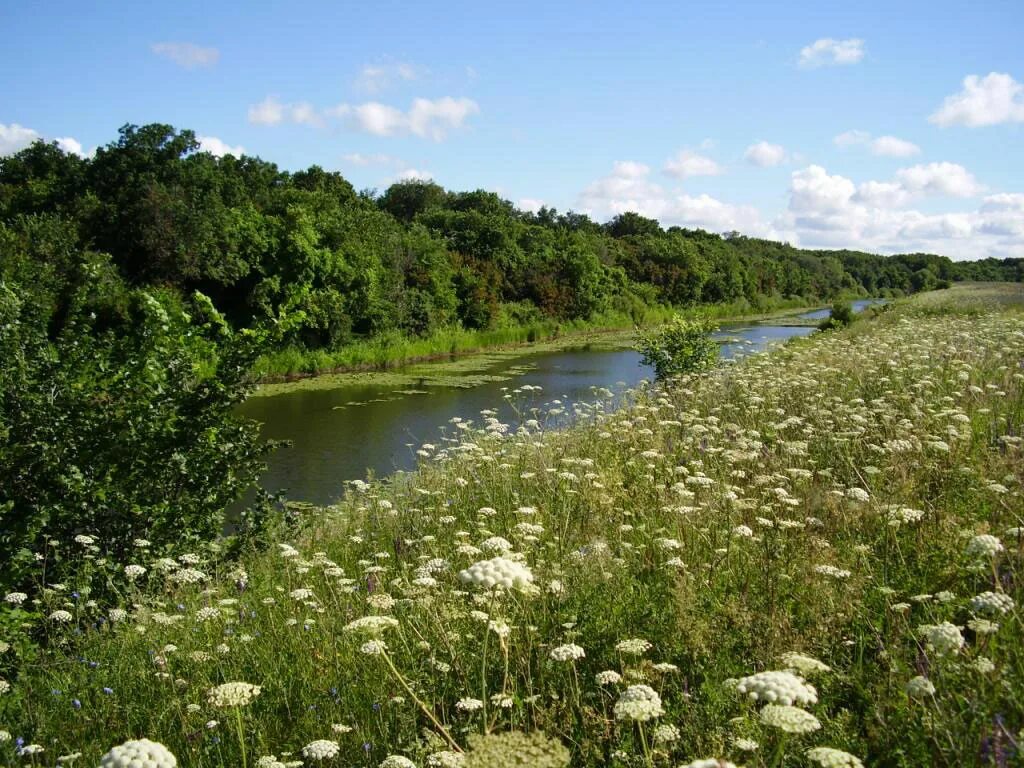 Природа мордовии фото Родные просторы Мордовии