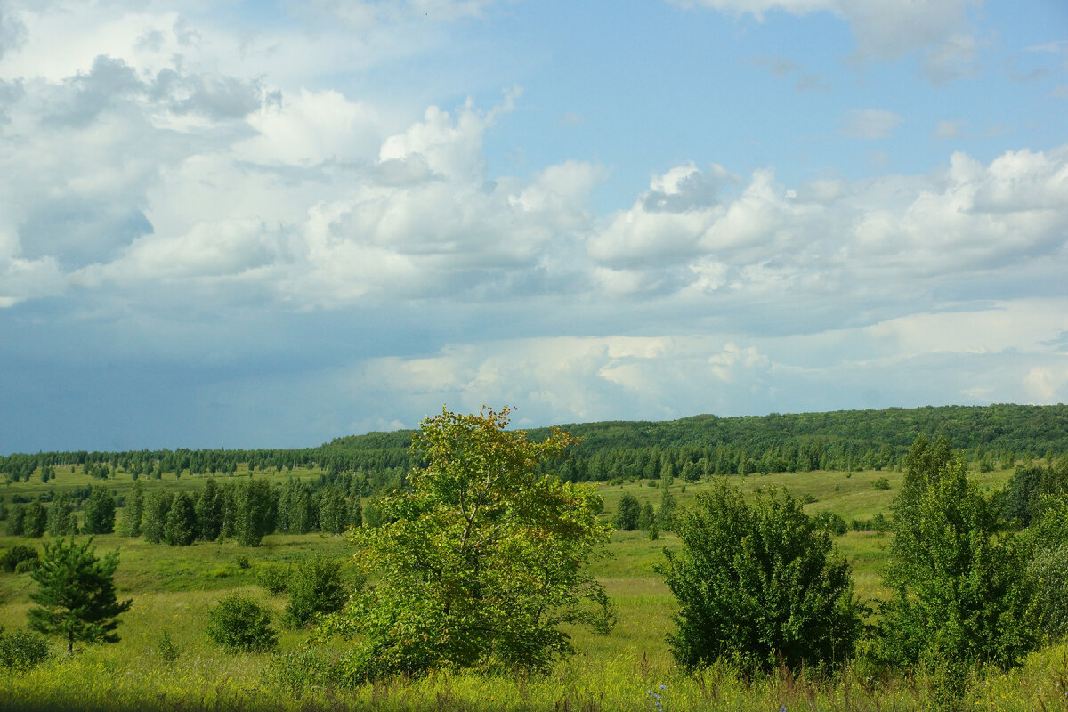 Природа мордовии фото Красота природы МОРДОВИИ. Дорога из Нижнего Новгорода в Саранск как отдельная до