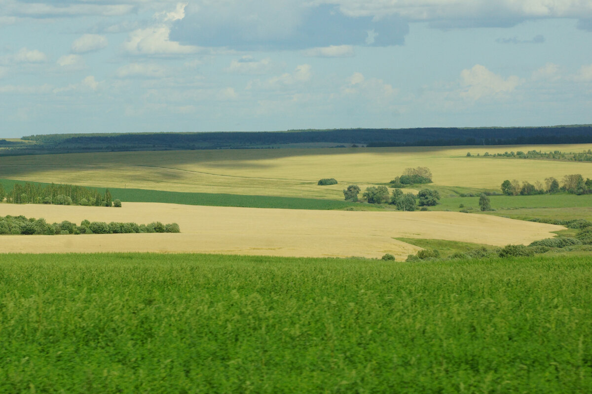 Природа мордовии фото Красота природы МОРДОВИИ. Дорога из Нижнего Новгорода в Саранск как отдельная до