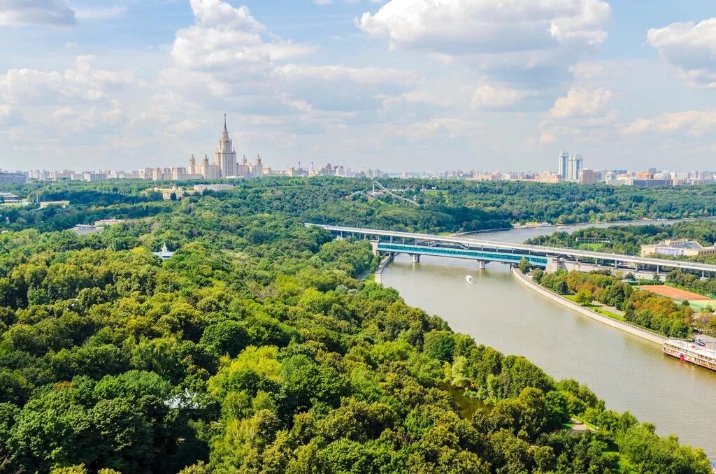 Природа москвы фото Panorama: Vorobyovy Gory, park, Russia, Moscow, Vorobyovy Gory Nature Reserve - 