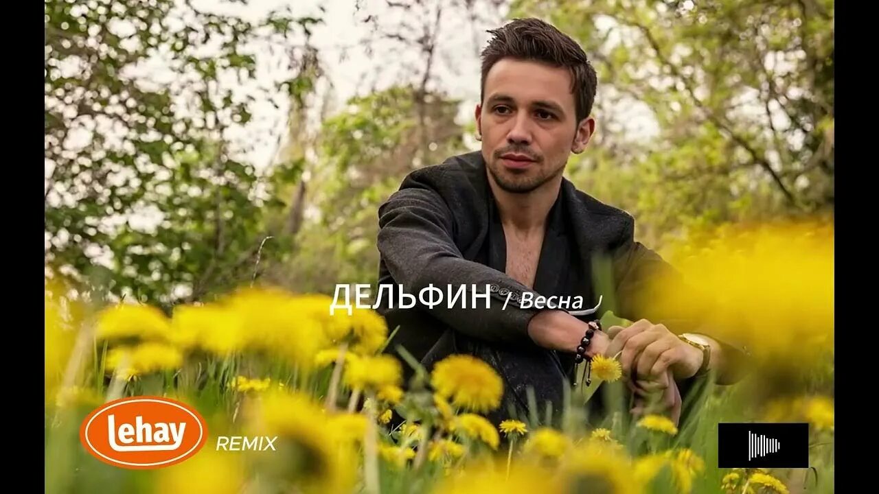 Природа мужиков фото Дельфин - Весна (2024 Remake) - YouTube