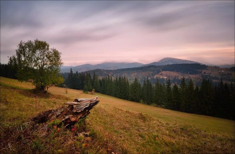 Природа необработанное фото Западные Карпаты - где находятся на карте, высота, поясность, координаты, матери