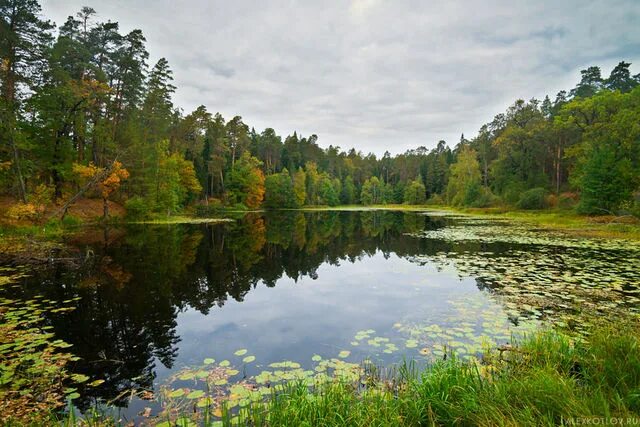 Природа нижегородской области фото В Нижегородской области выбирают место для будущего национального парка, который