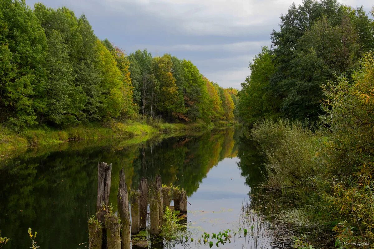 Природа нижегородской области фото р. Сережа Нижегородской области :: Роман Царев - Социальная сеть ФотоКто