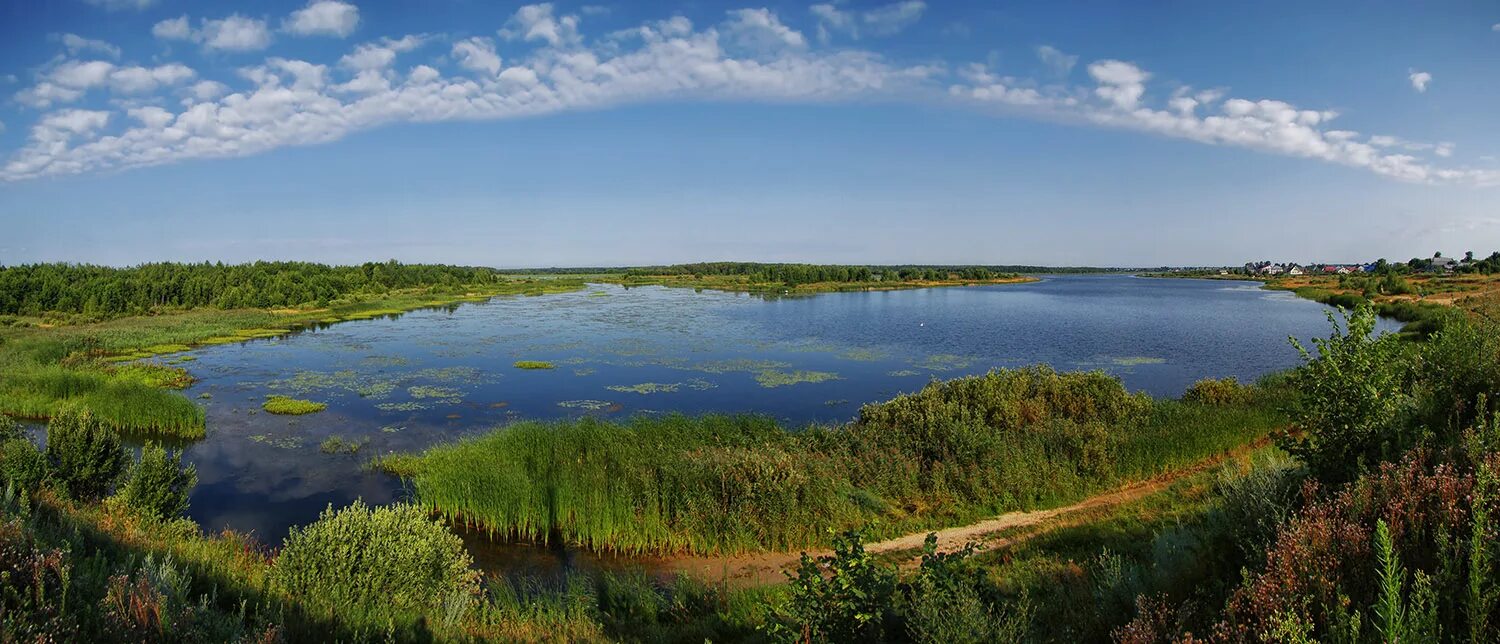 Природа нижегородской области фото Картинки НИЖЕГОРОДСКИЙ ПРИРОДНЫЙ ЗАПОВЕДНИК