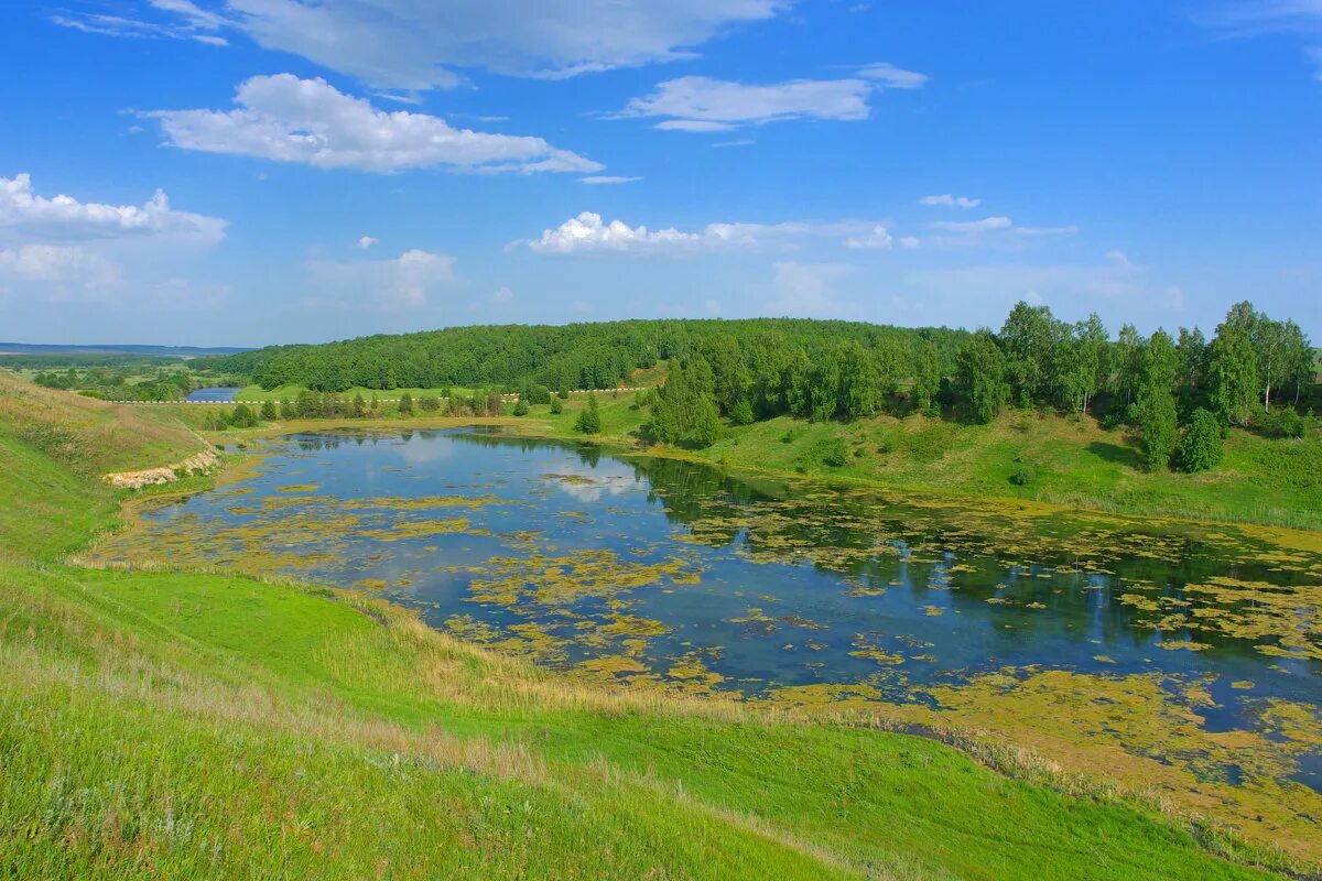 Природа нижегородской области фото Пруд у реки Пьяна. Нижегородская область :: Роман Царев - Социальная сеть ФотоКт